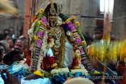 Vaikunda ekadasi 2015 mohini alangaram namperumal